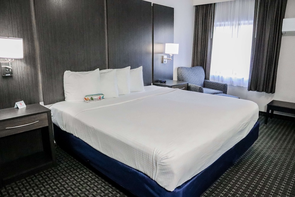 Standard Room, 1 King Bed, Non Smoking, Refrigerator & Microwave (Larger Room;with Sofabed) - Photo 5