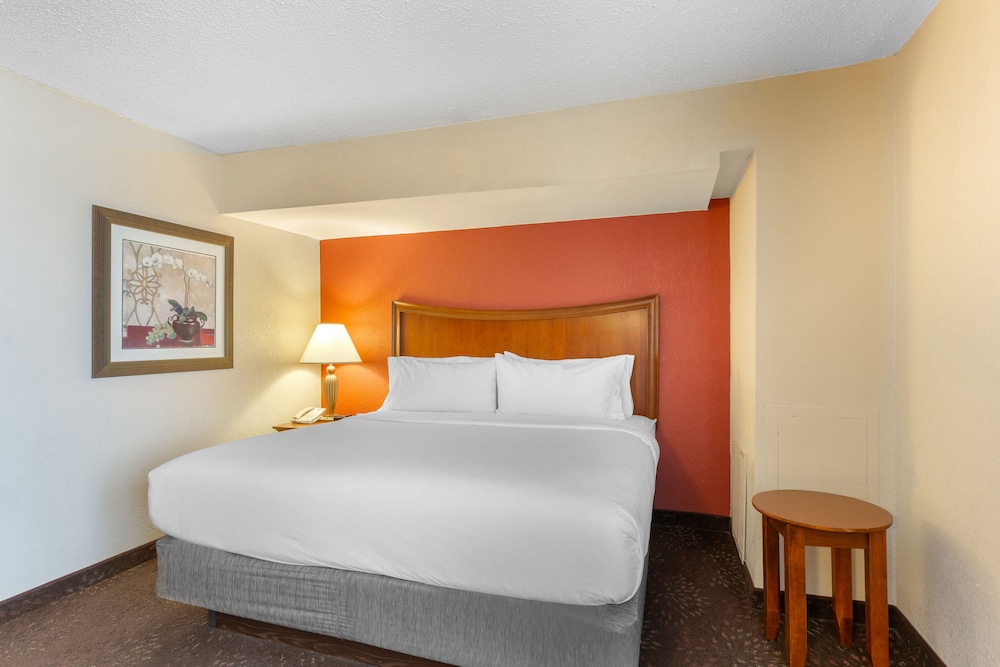 Standard Room, 1 King Bed, Accessible (Communications) - Photo 5