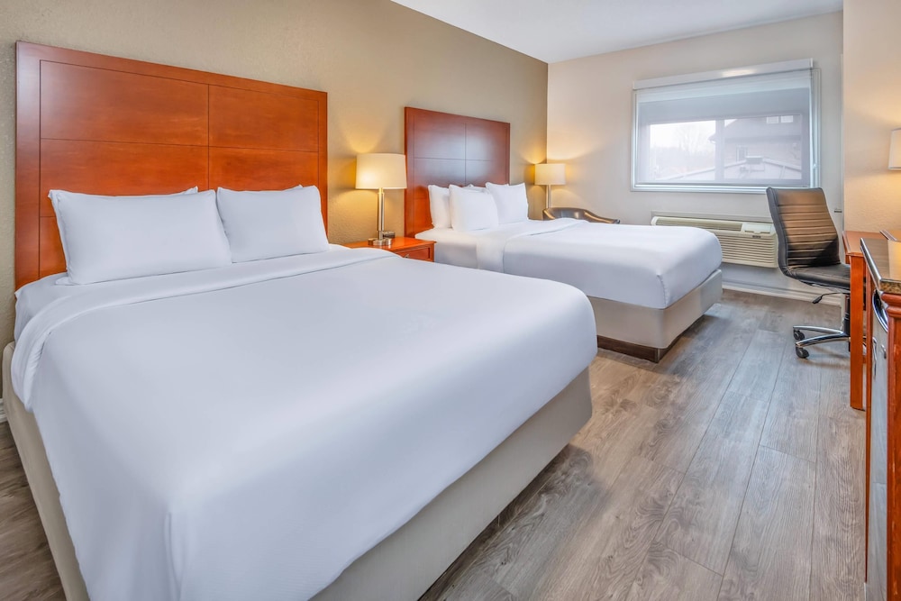 2 Queen Beds, Sofa Bed, 2 Room Suite - Photo 1