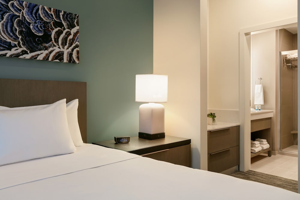Suite, 1 Bedroom, Kitchen (Specialty) photo 3