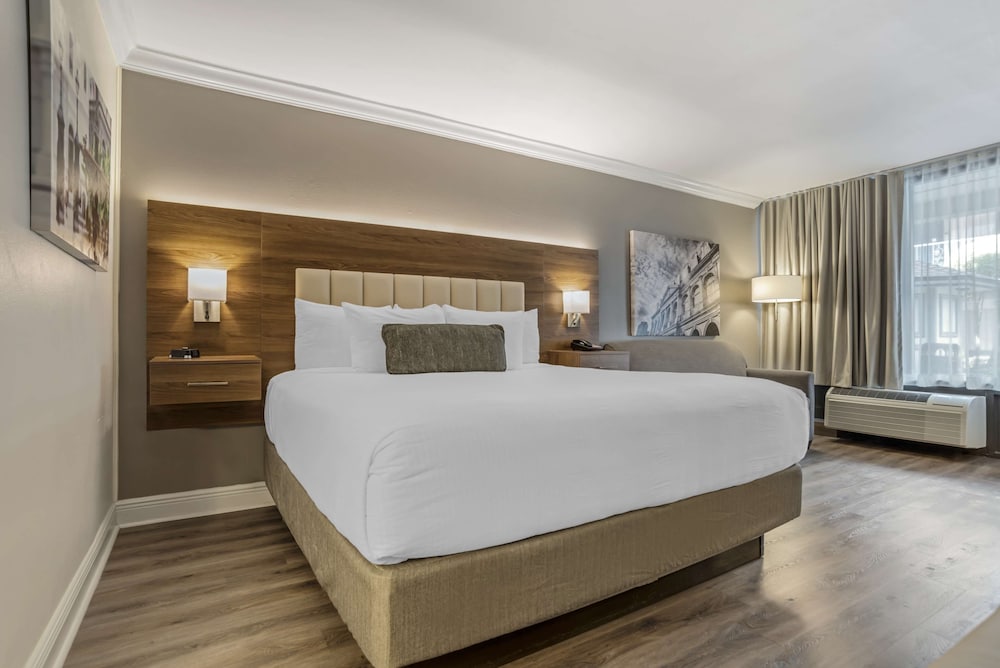 Standard Room, 1 King Bed, Non Smoking, Refrigerator & Microwave (with Sofabed) - Photo 10