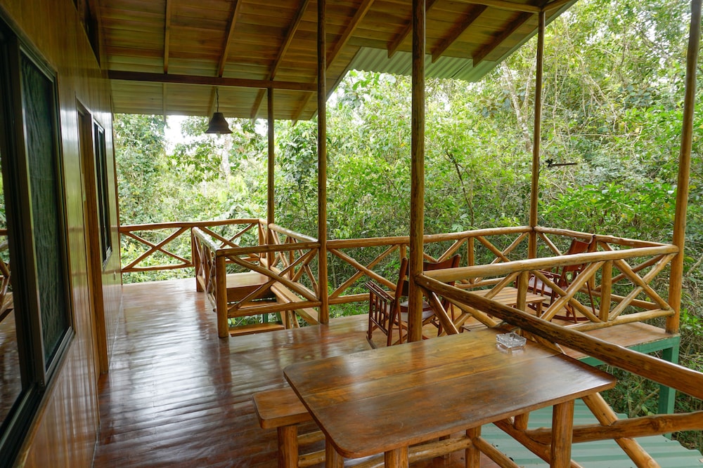 The Yiguirro Tree House photo 3
