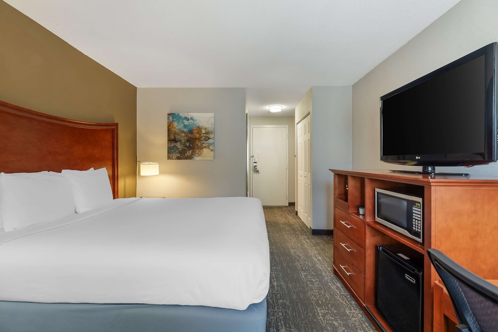 Standard Room, 1 Queen Bed, Accessible, Refrigerator & Microwave (Walk-In Shower) - Photo 1