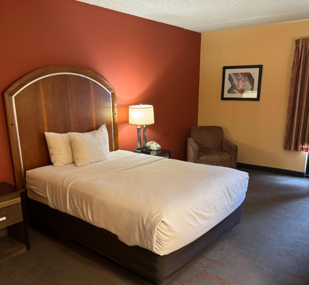 Single Room, 1 Queen Bed, Non Smoking, Accessible photo 1