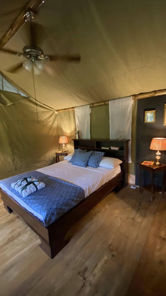 Tente