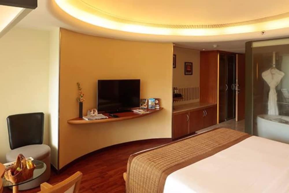 Mercury Lagoon View Room with Bath Tub and Private Balcony - King Bed photo 3