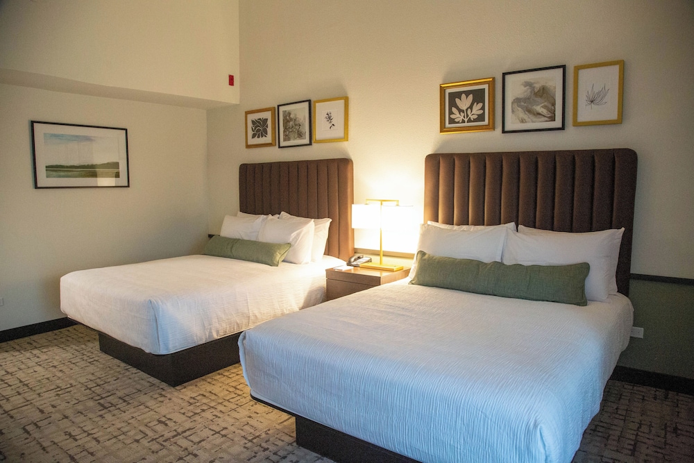 Classic Room, 2 Queen Beds, Non Smoking photo 1