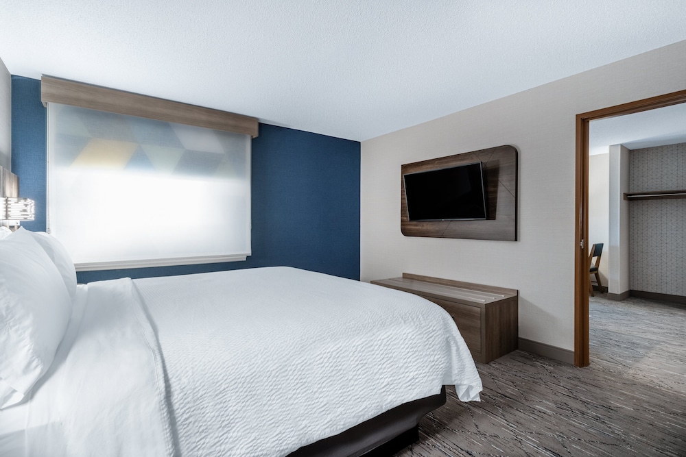 Suite, 1 King Bed - Photo 4