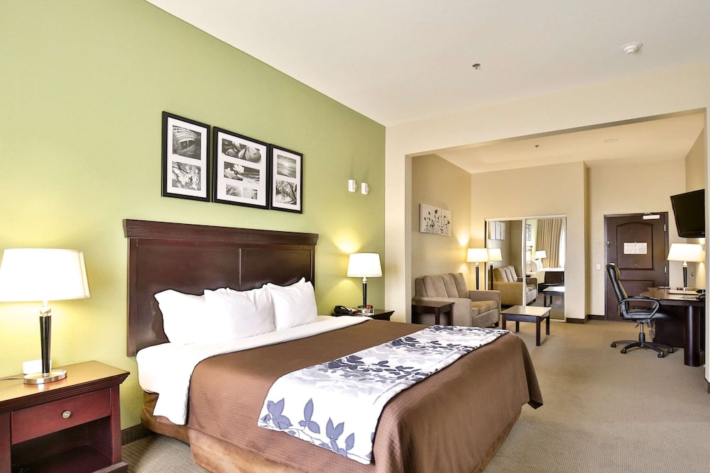 Suite, 1 King Bed with Sofa bed, Accessible, Non Smoking photo 1