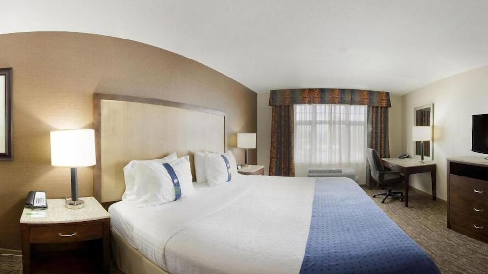 Suite, 1 King Bed, Accessible