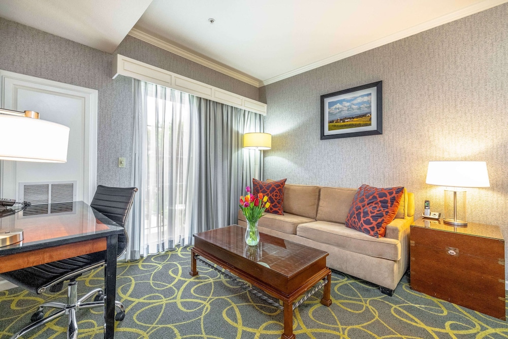 Suite, 1 Queen Bed, Accessible, Kitchenette (with Sofabed) - Photo 2