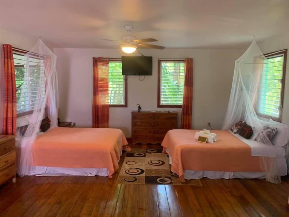 Deluxe Room photo 1