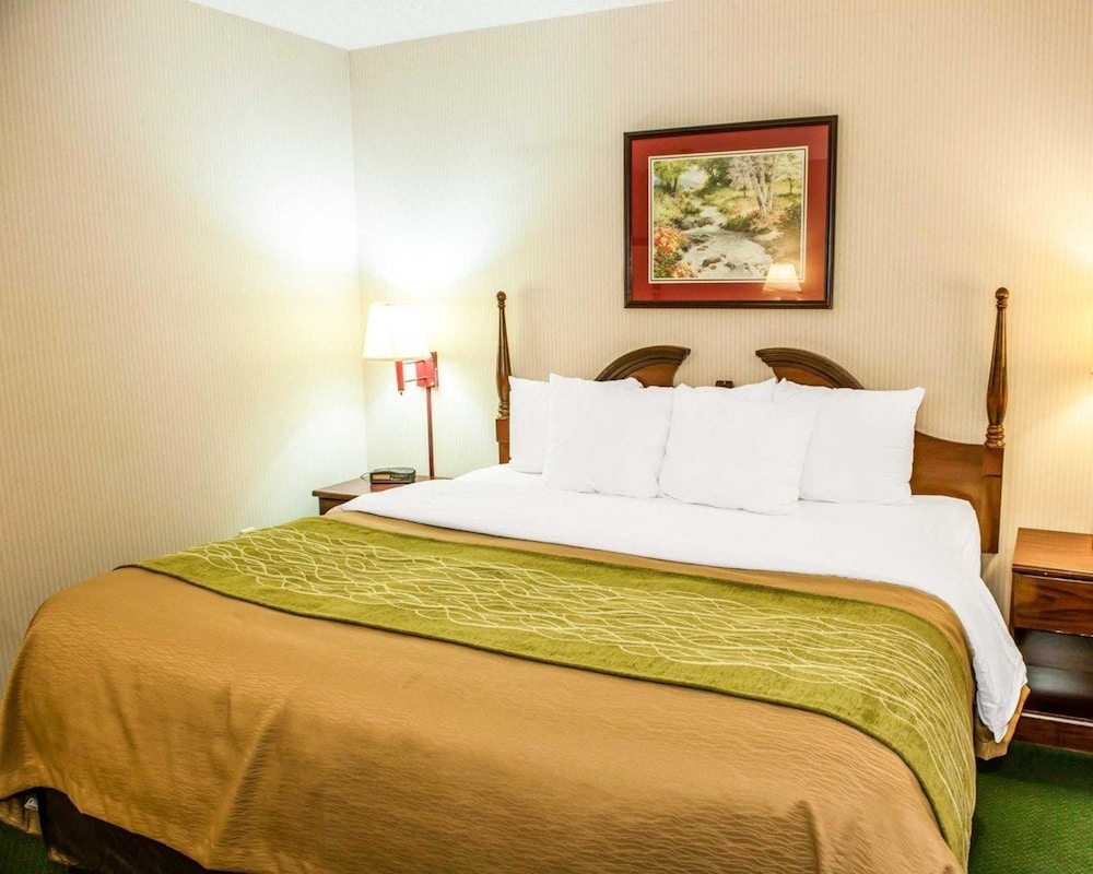 Suite, 1 King Bed with Sofa bed, Non Smoking, Jetted Tub (1 Person Sofa Bed) photo 1