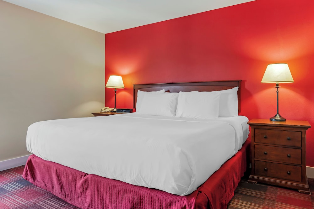 Suite, 1 Bedroom, Kitchenette photo 1