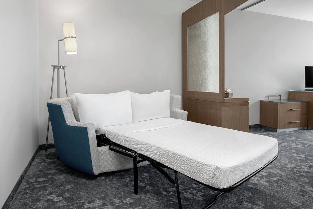 Studio, 1 King Bed with Sofa bed