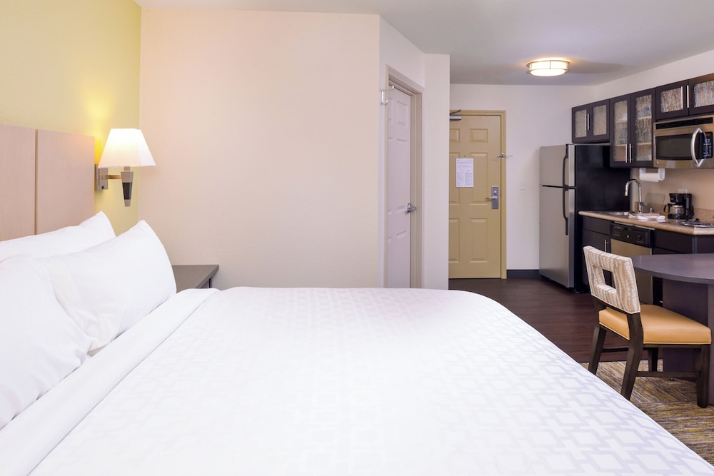 Studio Suite, 1 King Bed - Photo 15