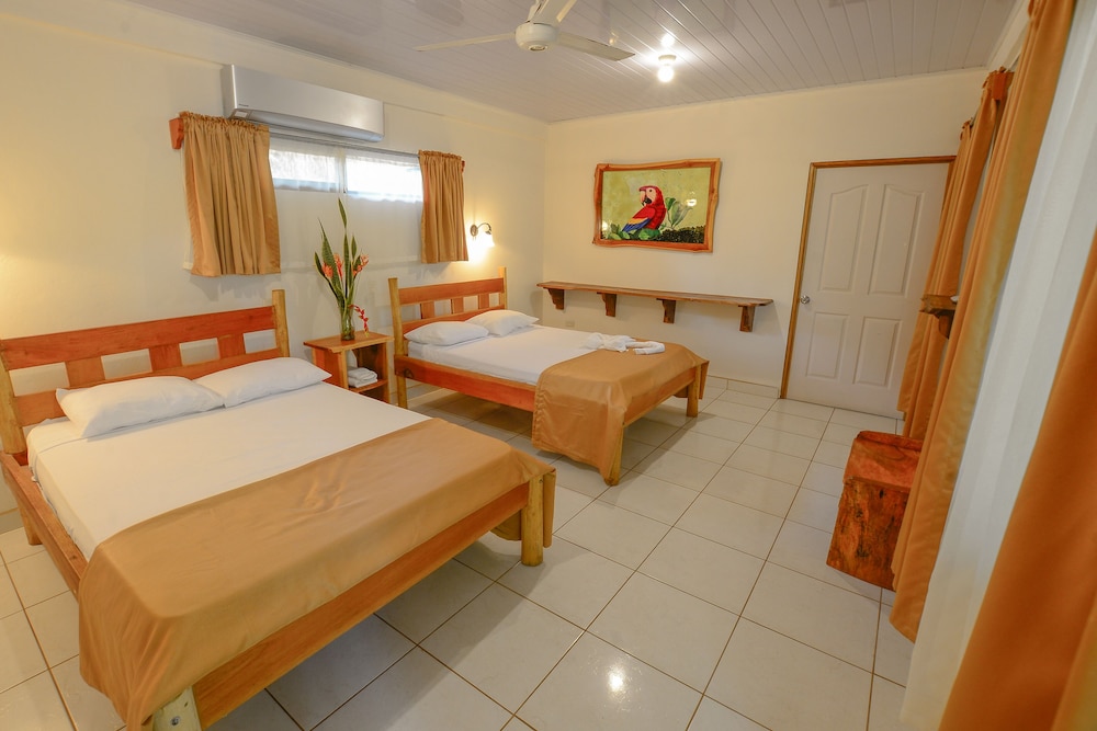 Deluxe Quadruple Room photo 1