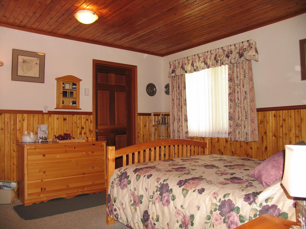 Room, 1 Queen Bed photo 2