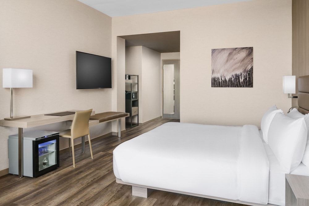 Standard Room, 1 King Bed (Mobility Accessible, Roll-in Shower) - Photo 3