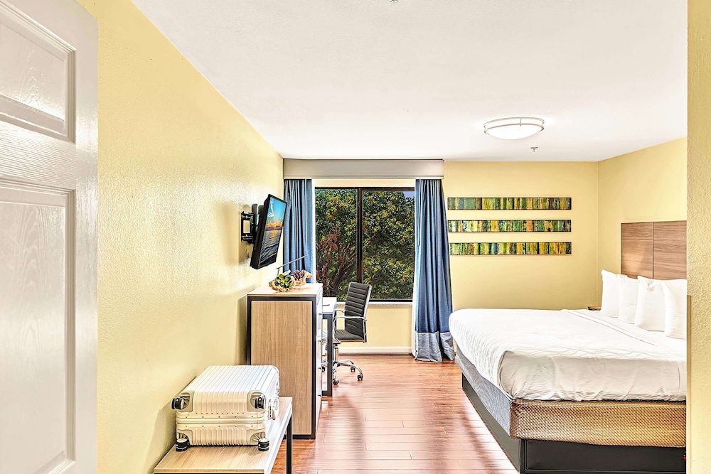 Suite, Multiple Beds, Non Smoking, Kitchen (Full Kitchen) - Photo 2