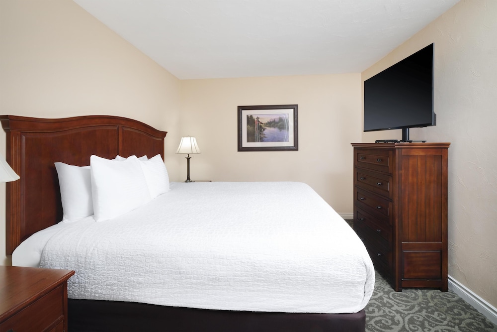 Suite, 1 King Bed, Non Smoking, Kitchenette (Living Room;with Single Sofabed) photo 1