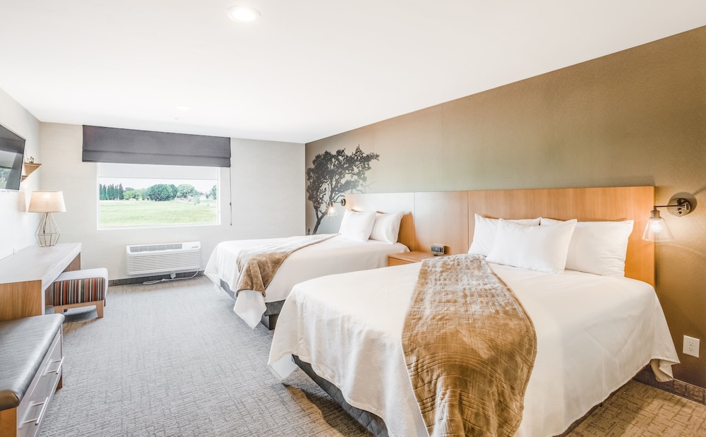 Elite Room, 2 Queen Beds, Refrigerator & Microwave, Desert View photo 1