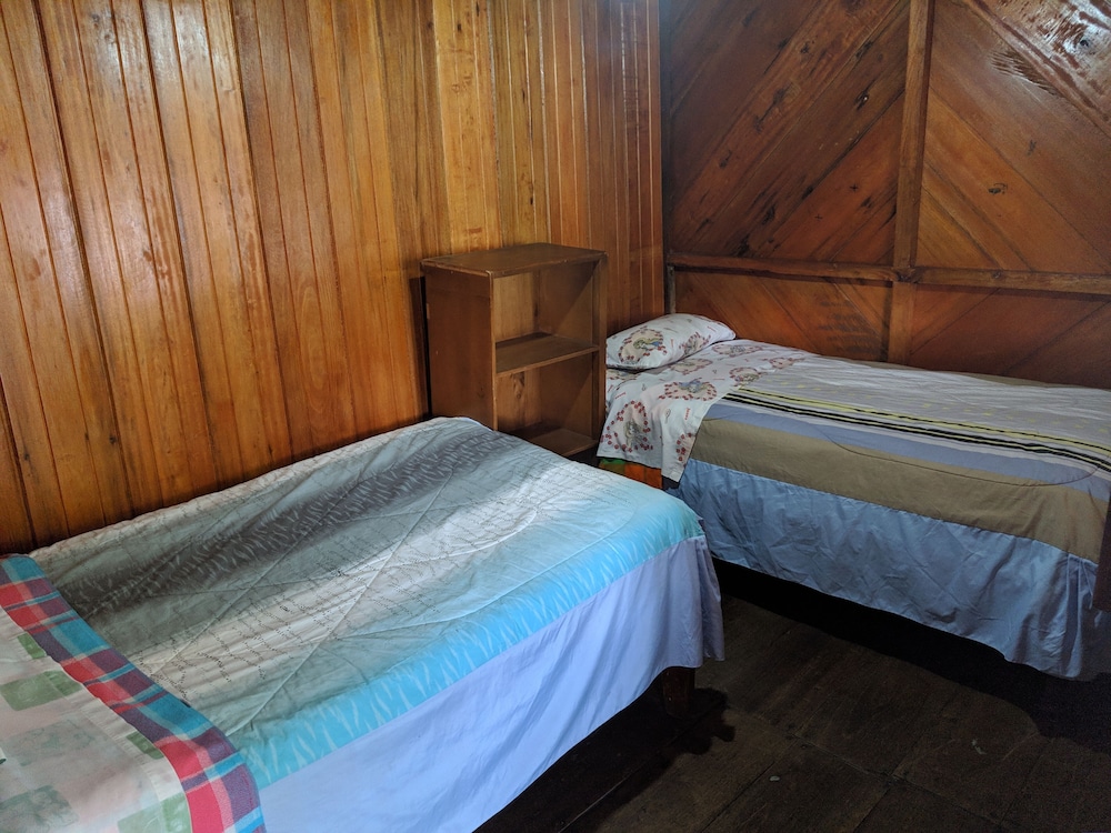 Standard Twin Room photo 2