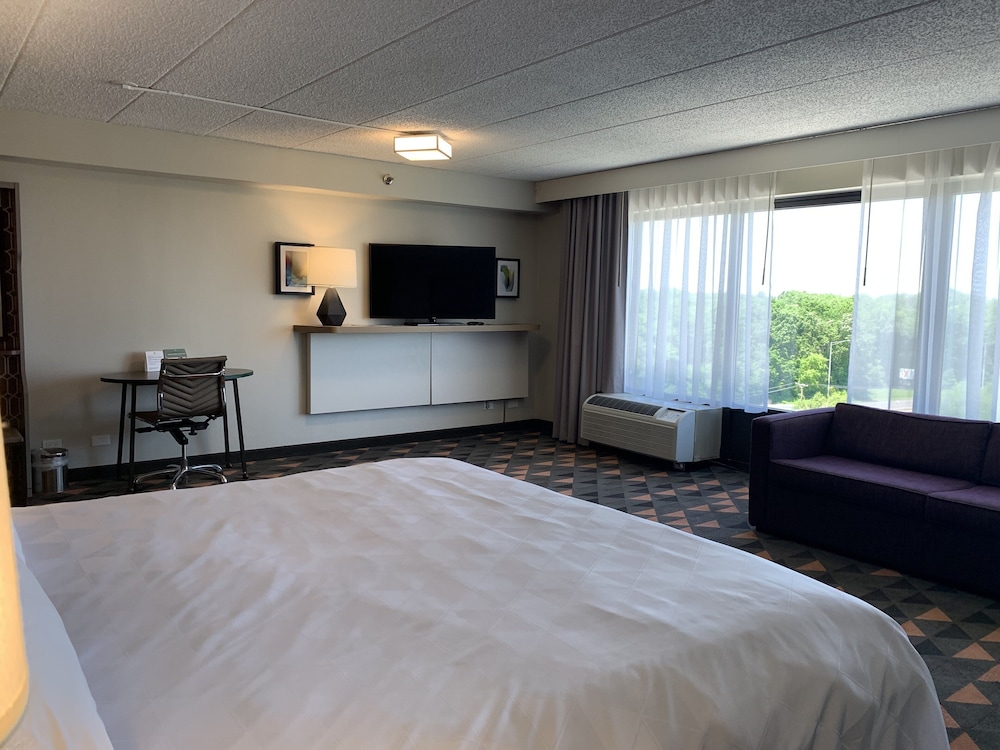 Suite, 1 Bedroom - Photo 7