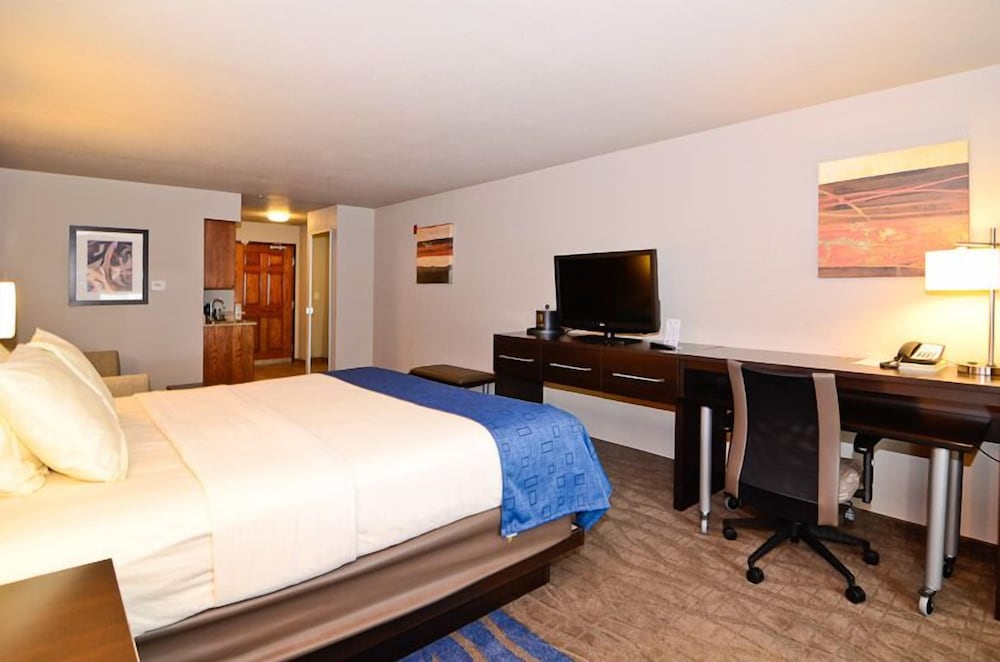 Room, 1 King Bed photo 3