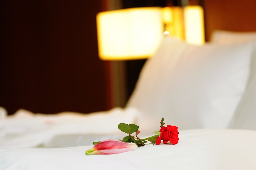 Business Double Room photo 2