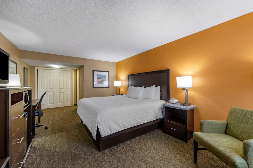 Standard Room, 1 King Bed, Non Smoking, Refrigerator & Microwave - Photo 1