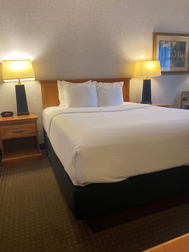 Traditional Room, 1 Queen Bed, Non Smoking, Refrigerator & Microwave - Photo 2