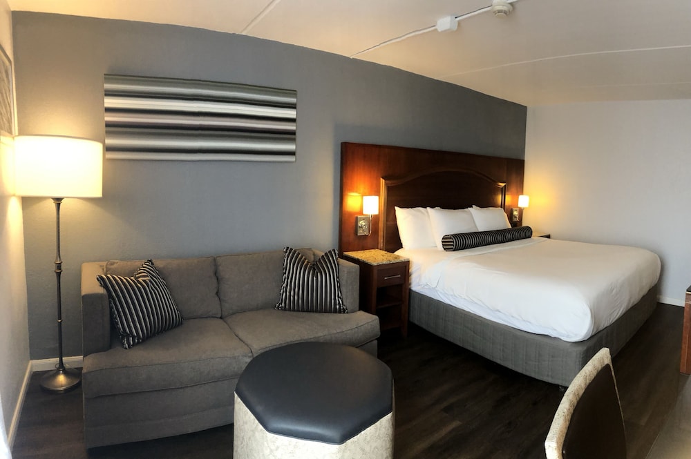 Classic Single Room photo 2