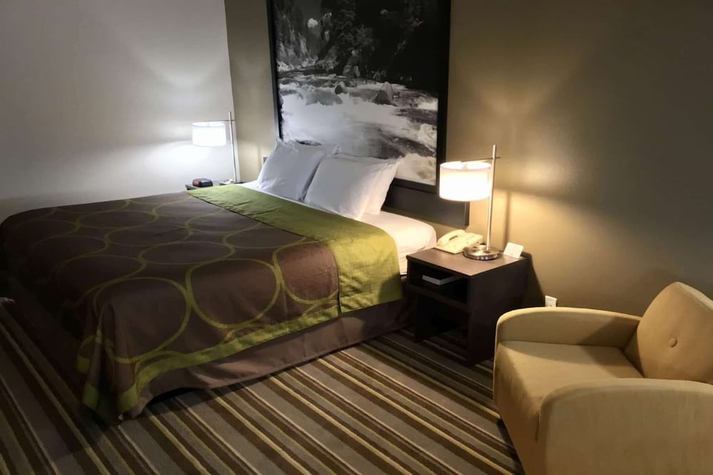 Room, 1 Queen Bed, Accessible Room, Non-Smoking, Refrigerator & Microwave - Photo 6