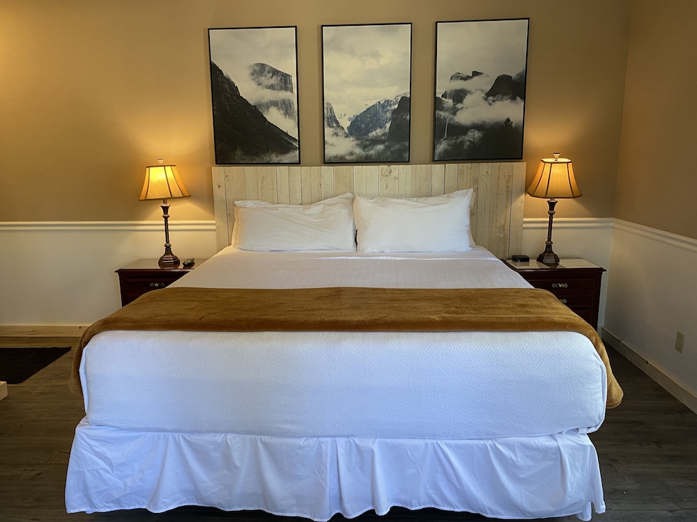 Junior Studio Suite, 1 King Bed photo 2