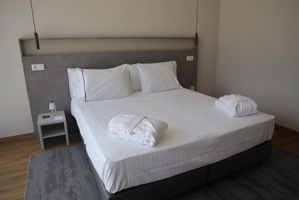 Executive Double or Twin Room, Terrace, Mountain View photo 1