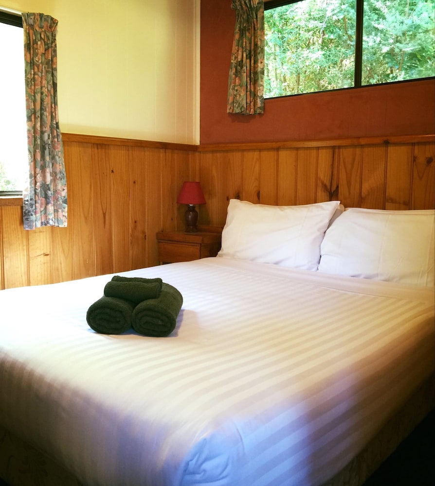Standard Cabin Max 5 photo 2