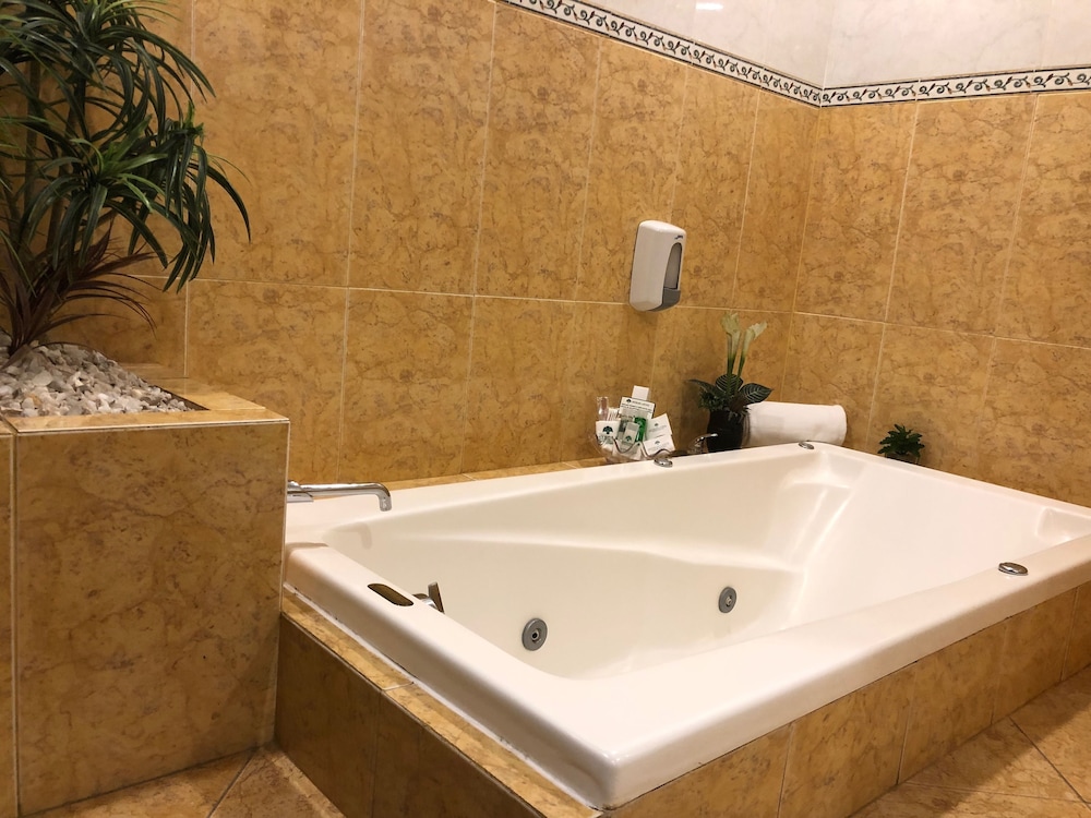 Exclusive Suite, Kitchenette (Jacuzzi) photo 3