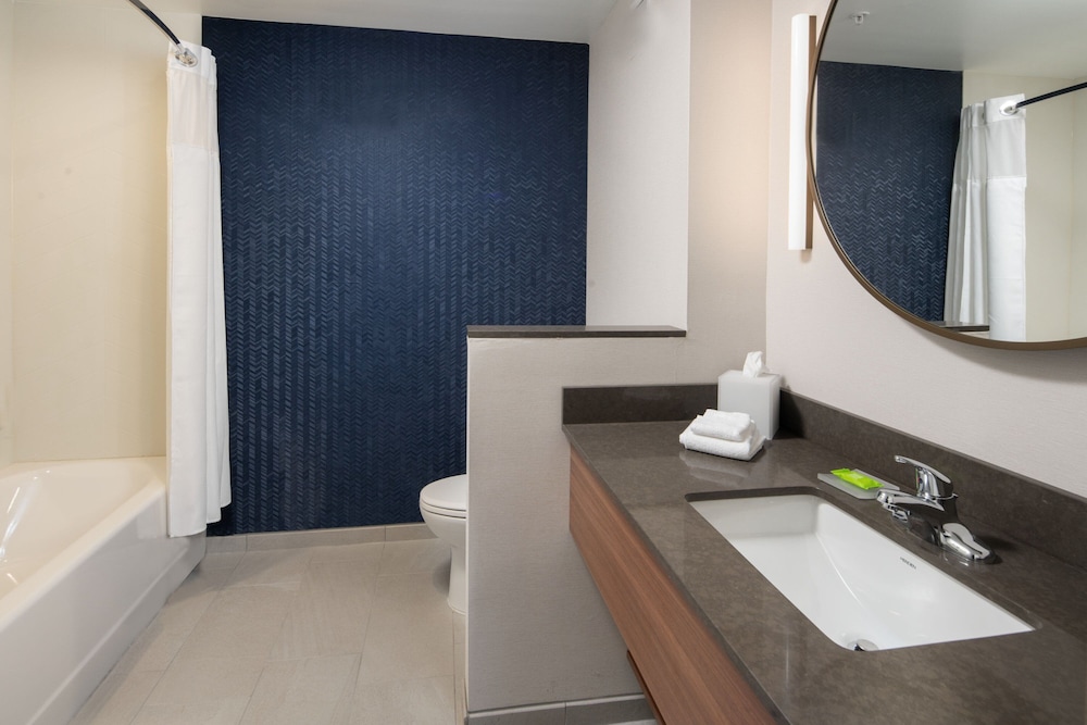 Room, 1 King Bed (Mobility Accessible, Roll-in Shower) photo 3