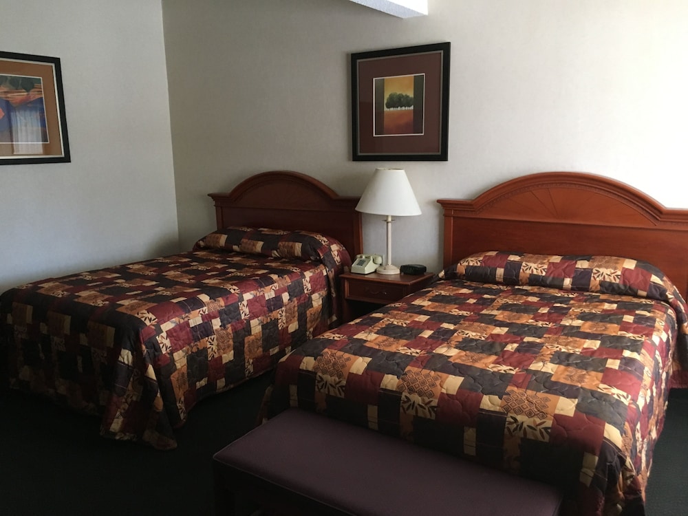 Standard Single Room, 1 King Bed photo 3