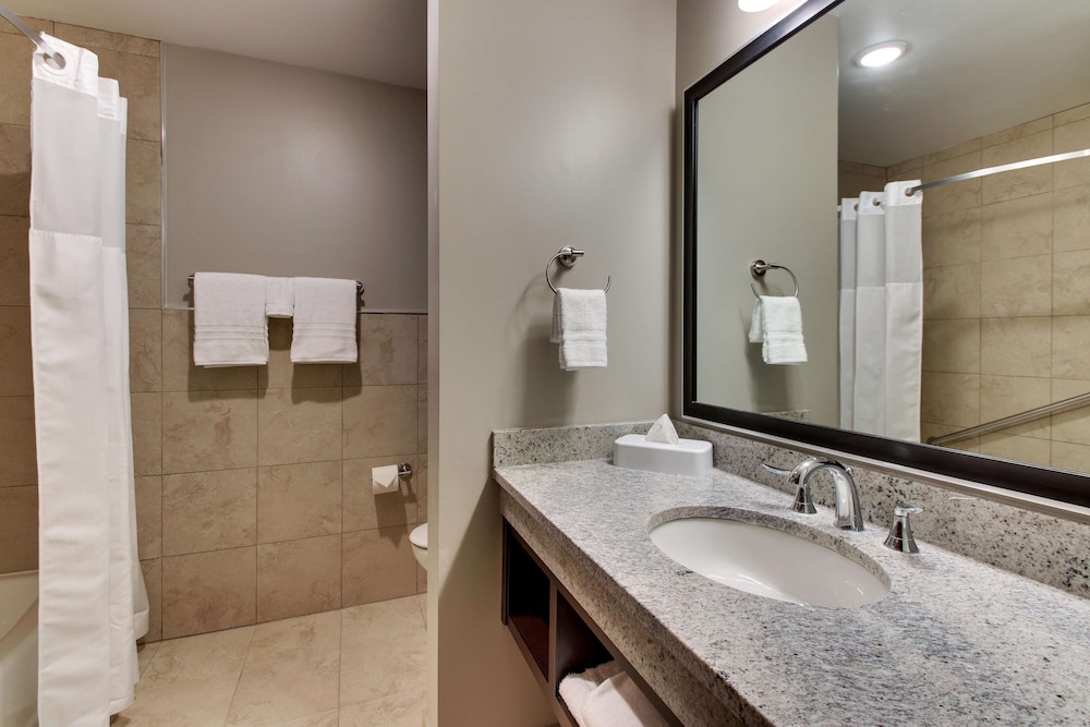 Drury Plaza Hotel Dallas Richardson, 写真 7
