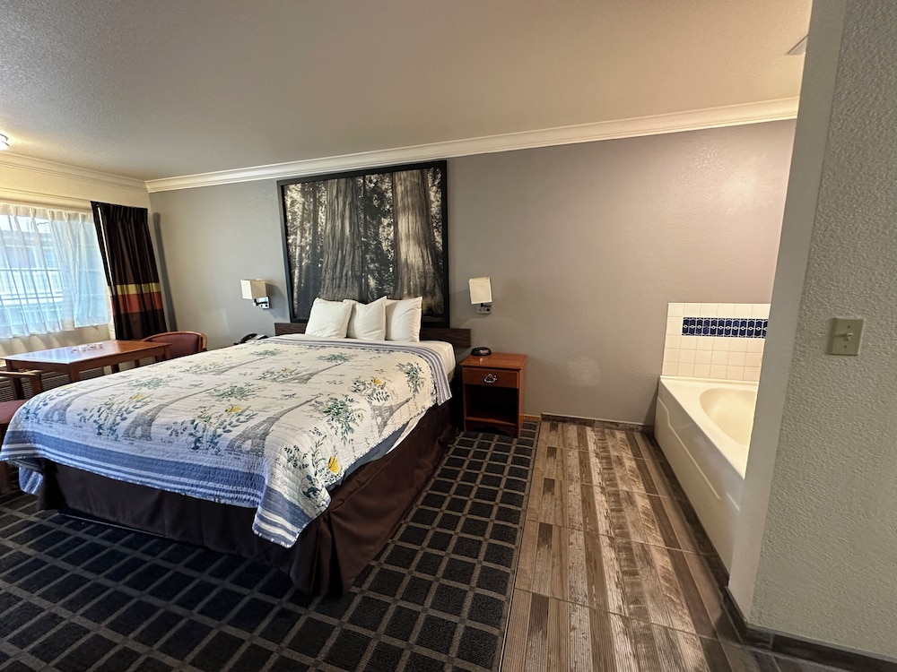Premium Room, 1 King Bed, Smoking photo 3