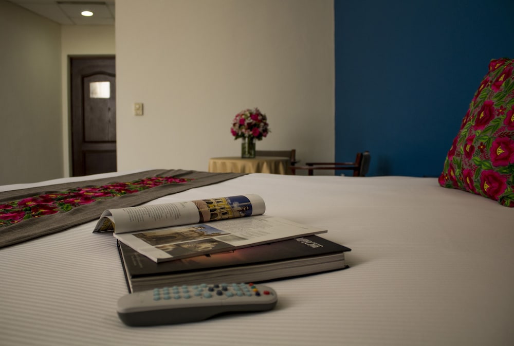 Junior Suite, 1 King Bed - Photo 1