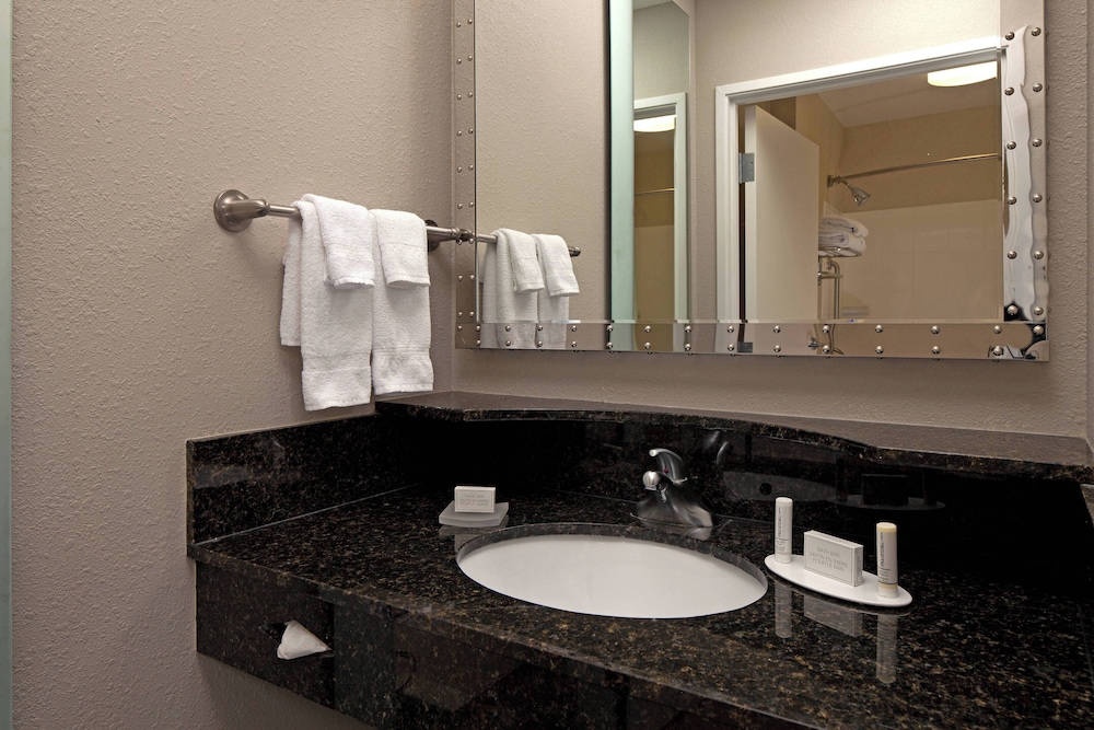 Suite, 1 Bedroom - Photo 5