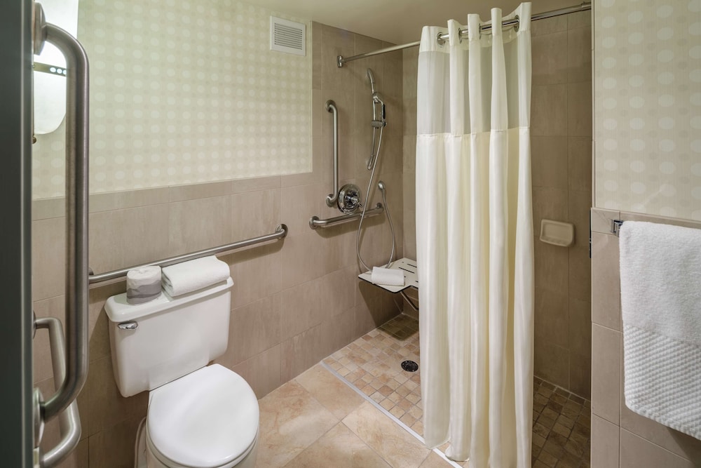 Room, 1 King Bed, Mountain View (Roll-In Shower) - Photo 5