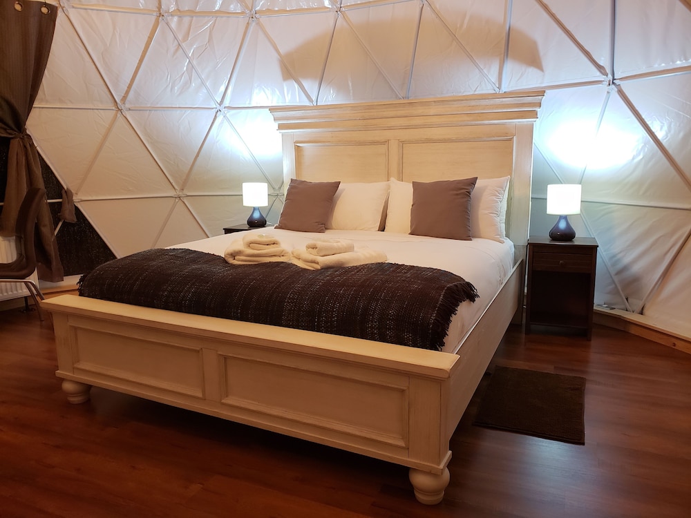 Bungalow (Penguin Dome) photo 1