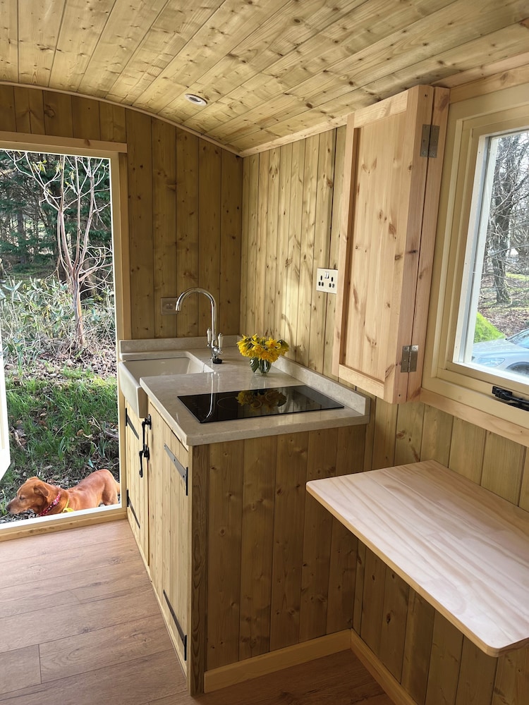 Deluxe Cabin photo 2