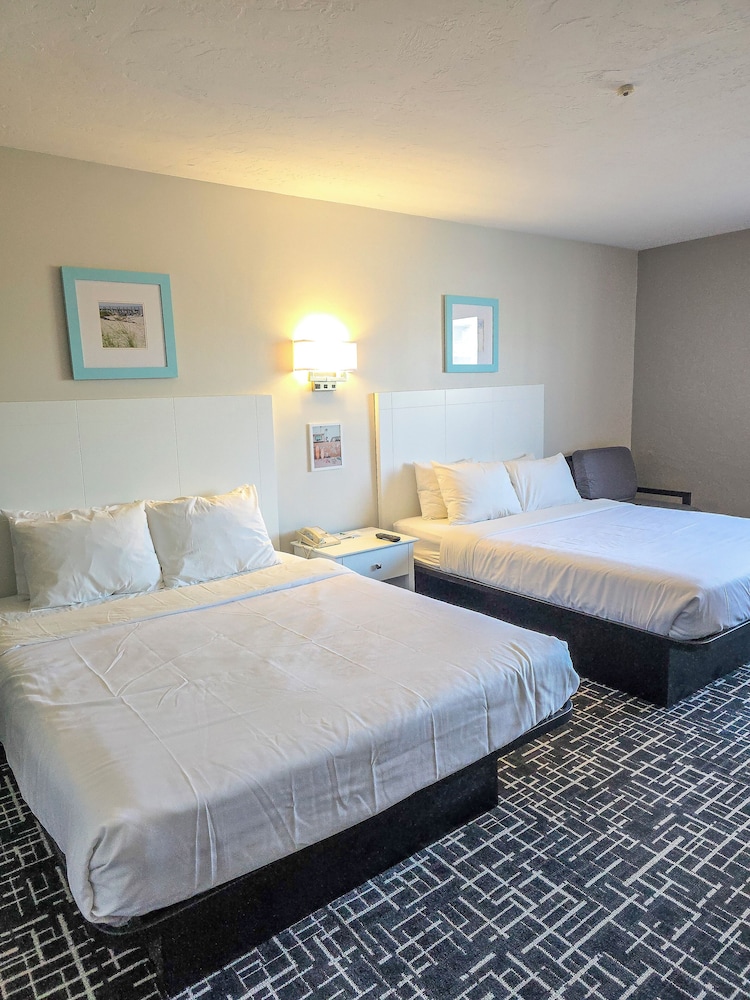 Basic Double Room