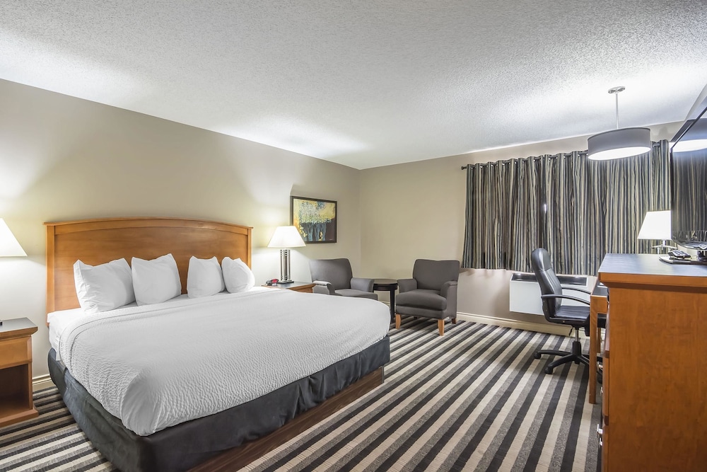 Business Room, 1 King Bed - Photo 8