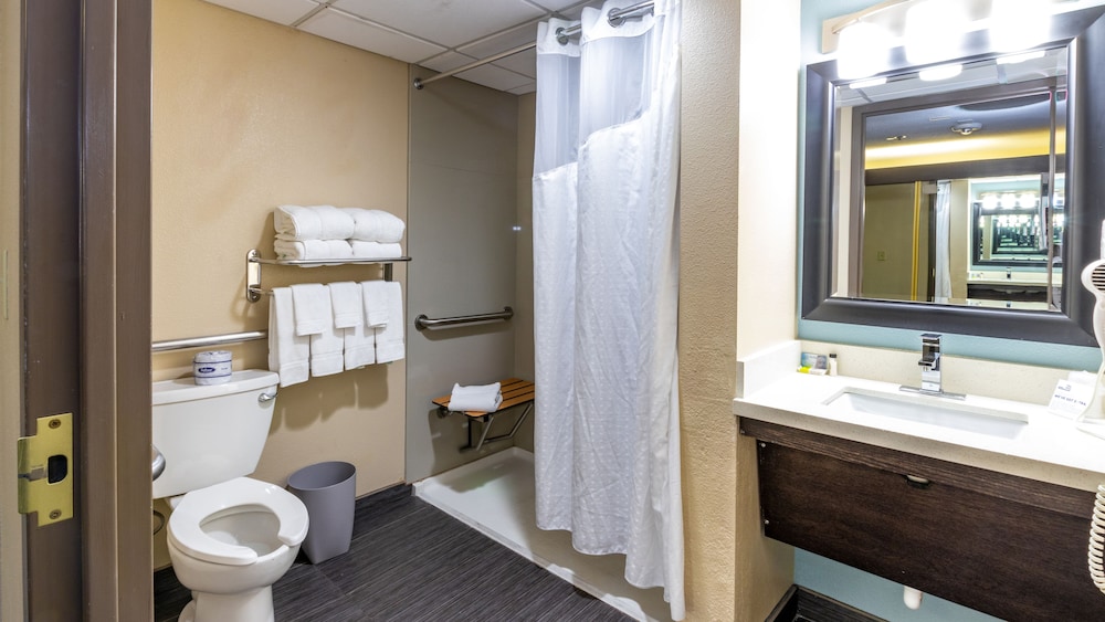 Suite, 1 King Bed, Accessible (Communications Accessible) - Photo 5